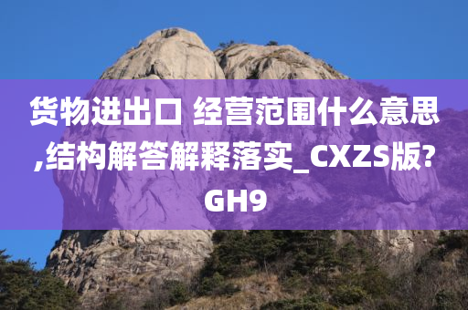 货物进出口 经营范围什么意思,结构解答解释落实_CXZS版?GH9