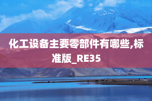 化工设备主要零部件有哪些,标准版_RE35