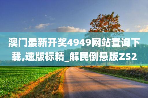 澳门最新开奖4949网站查询下载,速版标精_解民倒悬版ZS2