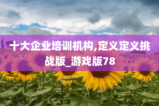 十大企业培训机构,定义定义挑战版_游戏版78