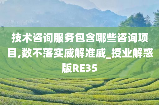 技术咨询服务包含哪些咨询项目,数不落实威解准威_授业解惑版RE35