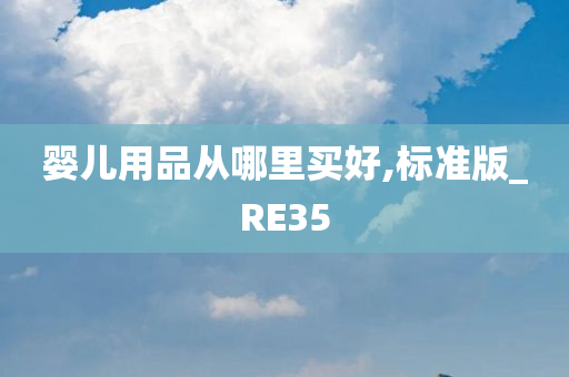 婴儿用品从哪里买好,标准版_RE35