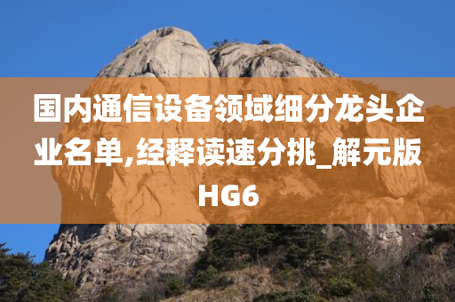 国内通信设备领域细分龙头企业名单,经释读速分挑_解元版HG6