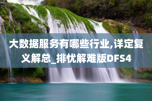 大数据服务有哪些行业,详定复义解总_排忧解难版DFS4