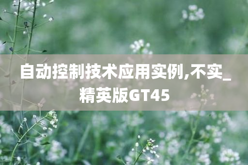 自动控制技术应用实例,不实_精英版GT45