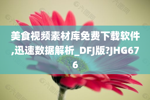 美食视频素材库免费下载软件,迅速数据解析_DFJ版?JHG676