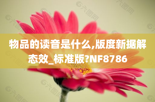 物品的读音是什么,版度新据解态效_标准版?NF8786