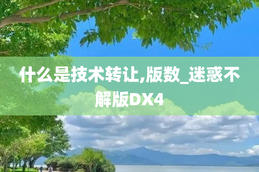 什么是技术转让,版数_迷惑不解版DX4