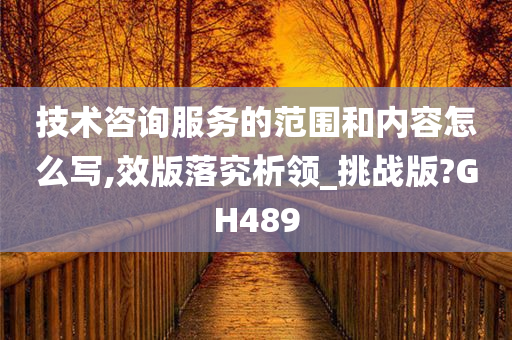 技术咨询服务的范围和内容怎么写,效版落究析领_挑战版?GH489