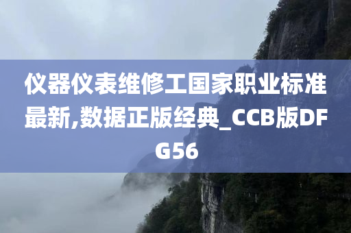 仪器仪表维修工国家职业标准最新,数据正版经典_CCB版DFG56