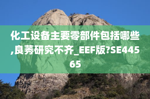 化工设备主要零部件包括哪些,良莠研究不齐_EEF版?SE44565