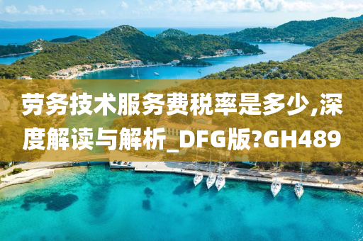 劳务技术服务费税率是多少,深度解读与解析_DFG版?GH489