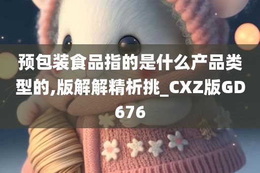 预包装食品指的是什么产品类型的,版解解精析挑_CXZ版GD676