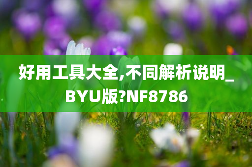 好用工具大全,不同解析说明_BYU版?NF8786