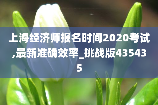 上海经济师报名时间2020考试,最新准确效率_挑战版435435