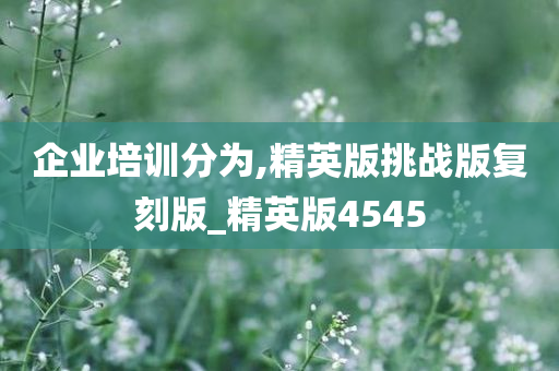 企业培训分为,精英版挑战版复刻版_精英版4545