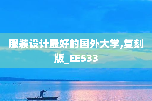 服装设计最好的国外大学,复刻版_EE533