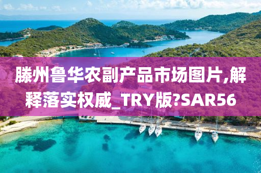 滕州鲁华农副产品市场图片,解释落实权威_TRY版?SAR56