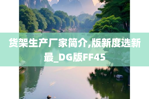 货架生产厂家简介,版新度选新最_DG版FF45