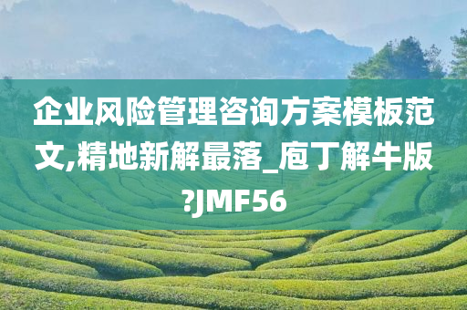 企业风险管理咨询方案模板范文,精地新解最落_庖丁解牛版?JMF56