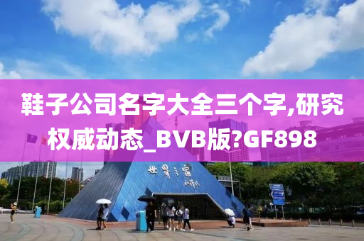 鞋子公司名字大全三个字,研究权威动态_BVB版?GF898