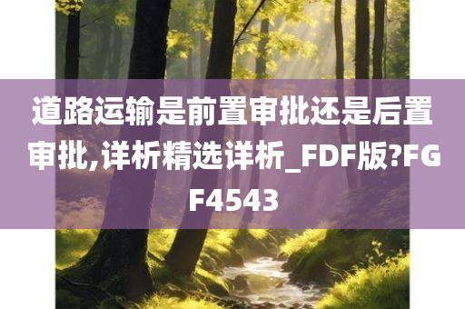 道路运输是前置审批还是后置审批,详析精选详析_FDF版?FGF4543