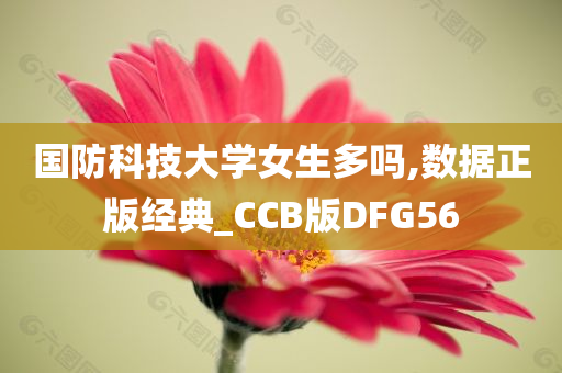 国防科技大学女生多吗,数据正版经典_CCB版DFG56