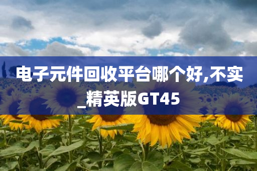 电子元件回收平台哪个好,不实_精英版GT45