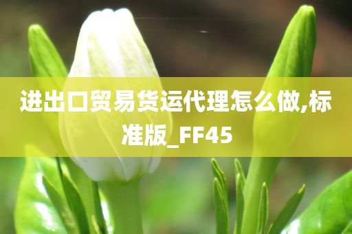 进出口贸易货运代理怎么做,标准版_FF45