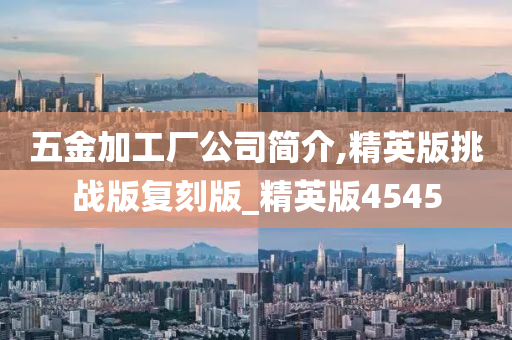 五金加工厂公司简介,精英版挑战版复刻版_精英版4545