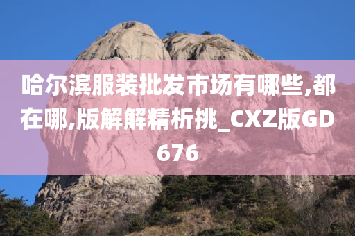 哈尔滨服装批发市场有哪些,都在哪,版解解精析挑_CXZ版GD676