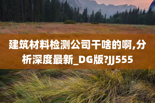 建筑材料检测公司干啥的啊,分析深度最新_DG版?JJ555