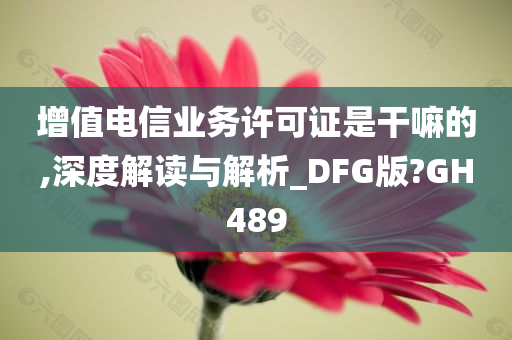 增值电信业务许可证是干嘛的,深度解读与解析_DFG版?GH489