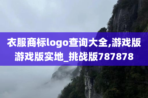 衣服商标logo查询大全,游戏版游戏版实地_挑战版787878