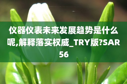 仪器仪表未来发展趋势是什么呢,解释落实权威_TRY版?SAR56