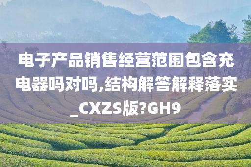 电子产品销售经营范围包含充电器吗对吗,结构解答解释落实_CXZS版?GH9