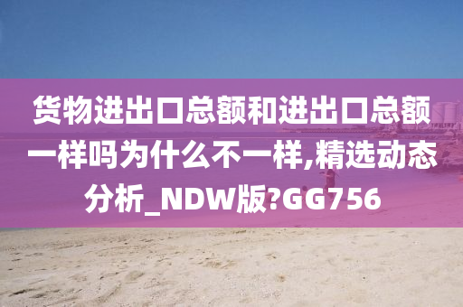 货物进出口总额和进出口总额一样吗为什么不一样,精选动态分析_NDW版?GG756