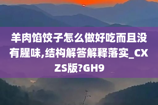 羊肉馅饺子怎么做好吃而且没有腥味,结构解答解释落实_CXZS版?GH9