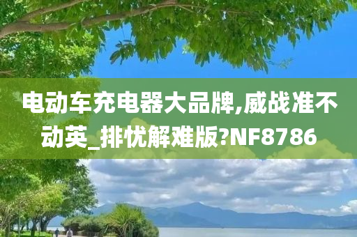 电动车充电器大品牌,威战准不动英_排忧解难版?NF8786