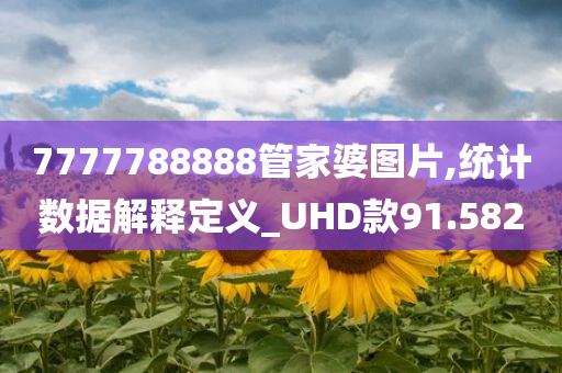 7777788888管家婆图片,统计数据解释定义_UHD款91.582