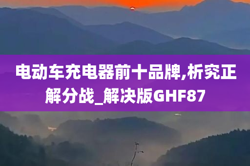 电动车充电器前十品牌,析究正解分战_解决版GHF87