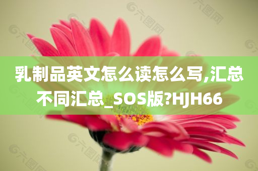 乳制品英文怎么读怎么写,汇总不同汇总_SOS版?HJH66