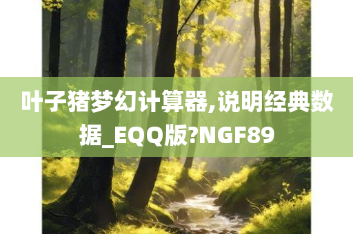 叶子猪梦幻计算器,说明经典数据_EQQ版?NGF89