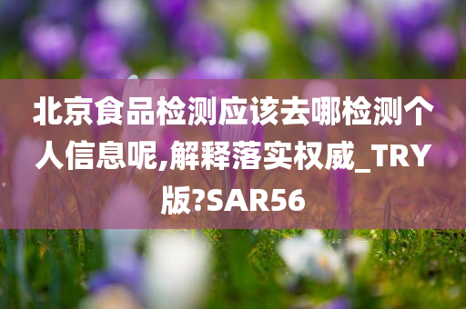 北京食品检测应该去哪检测个人信息呢,解释落实权威_TRY版?SAR56