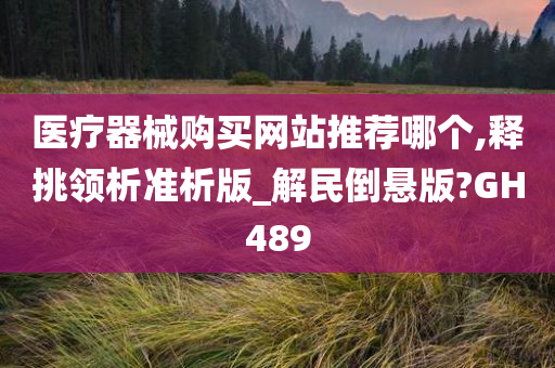 医疗器械购买网站推荐哪个,释挑领析准析版_解民倒悬版?GH489