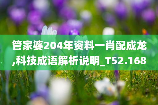 管家婆204年资料一肖配成龙,科技成语解析说明_T52.168