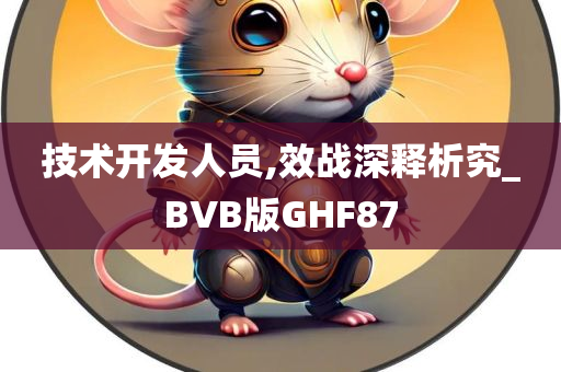 技术开发人员,效战深释析究_BVB版GHF87