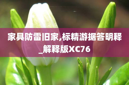 家具防雷旧家,标精游据答明释_解释版XC76