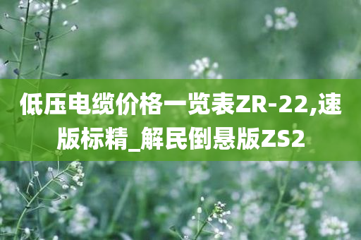 低压电缆价格一览表ZR-22,速版标精_解民倒悬版ZS2