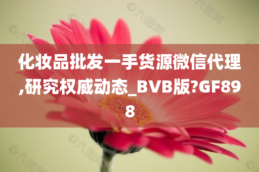 化妆品批发一手货源微信代理,研究权威动态_BVB版?GF898